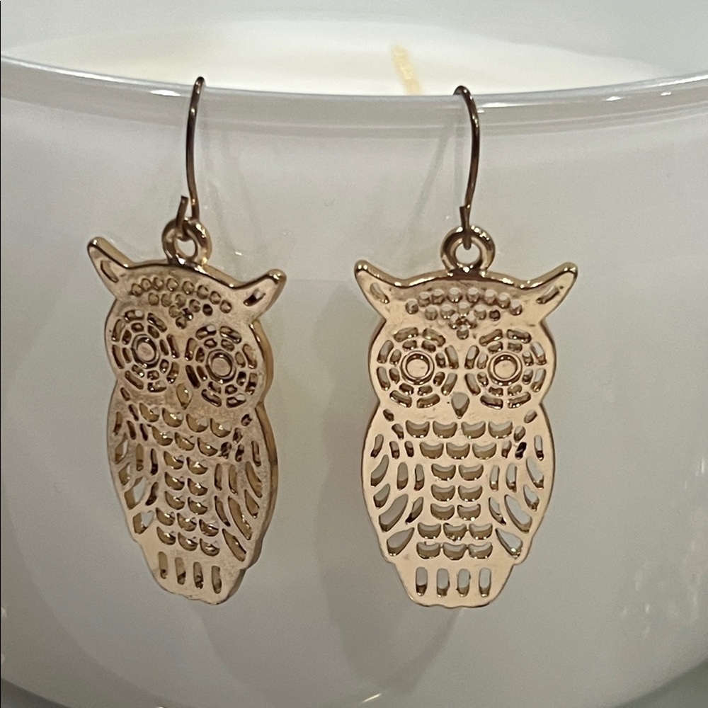 Gold Owl 14k Gold Filled Earrings Nature Statement Jewelry